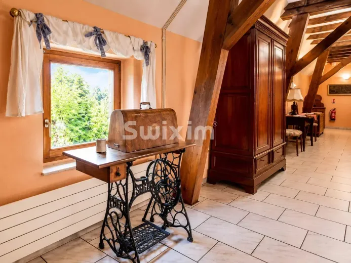 Commercial & industry for sale in Bergheim (12)