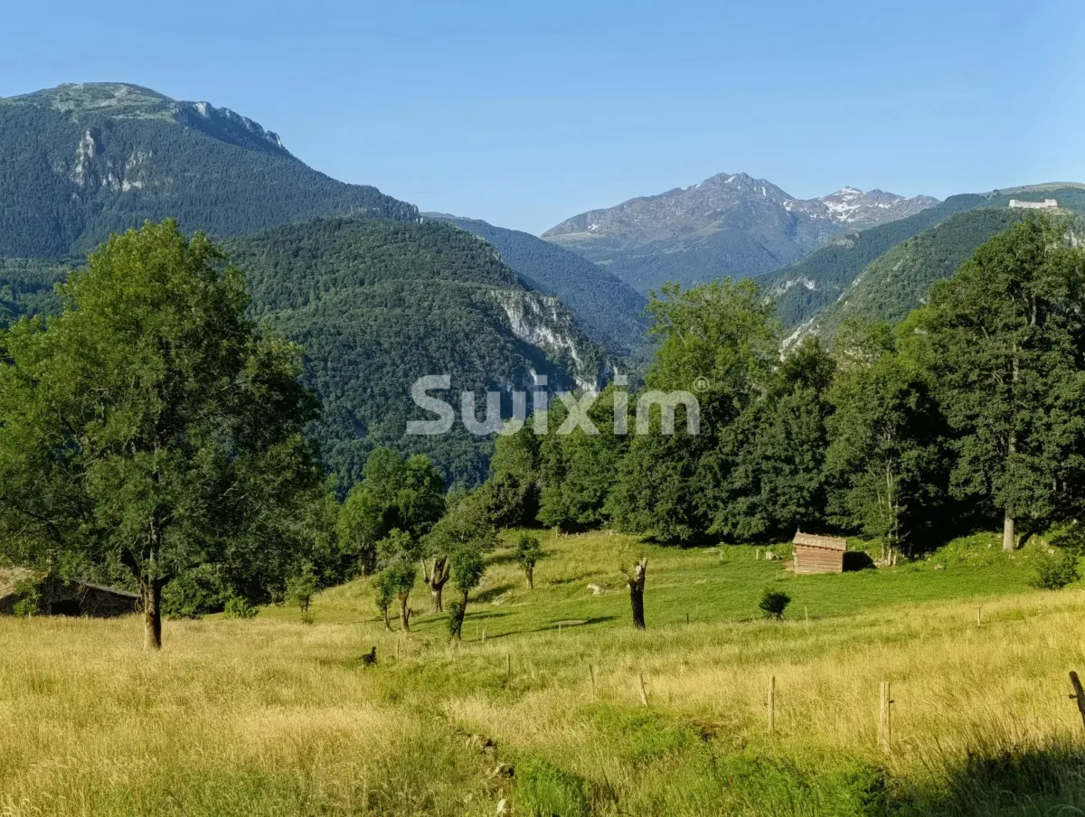 Maison à vendre à Lavelanet - Smart Propylaia (2)