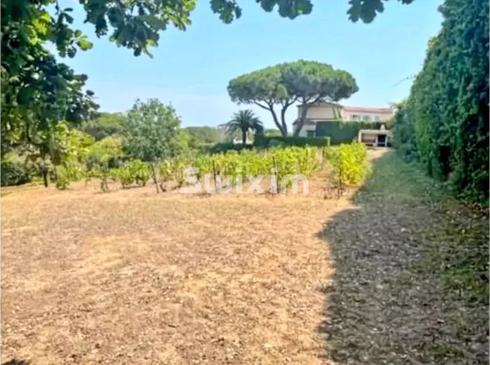 Maison à vendre à Saint-Tropez (5)