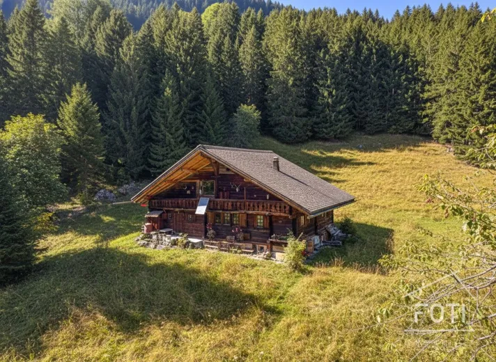 Zu verkaufen Champéry Chalet Suisse - cChic-immoHub Ihr Immobilienportal