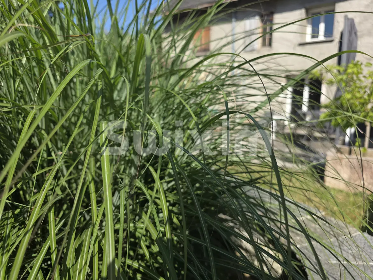 Haus zu verkaufen in Entrelacs - Einfamilienhaus zu verkaufen in Entrelacs, 8 Zimmer, 141 m2 - Smart Propylaia (9)