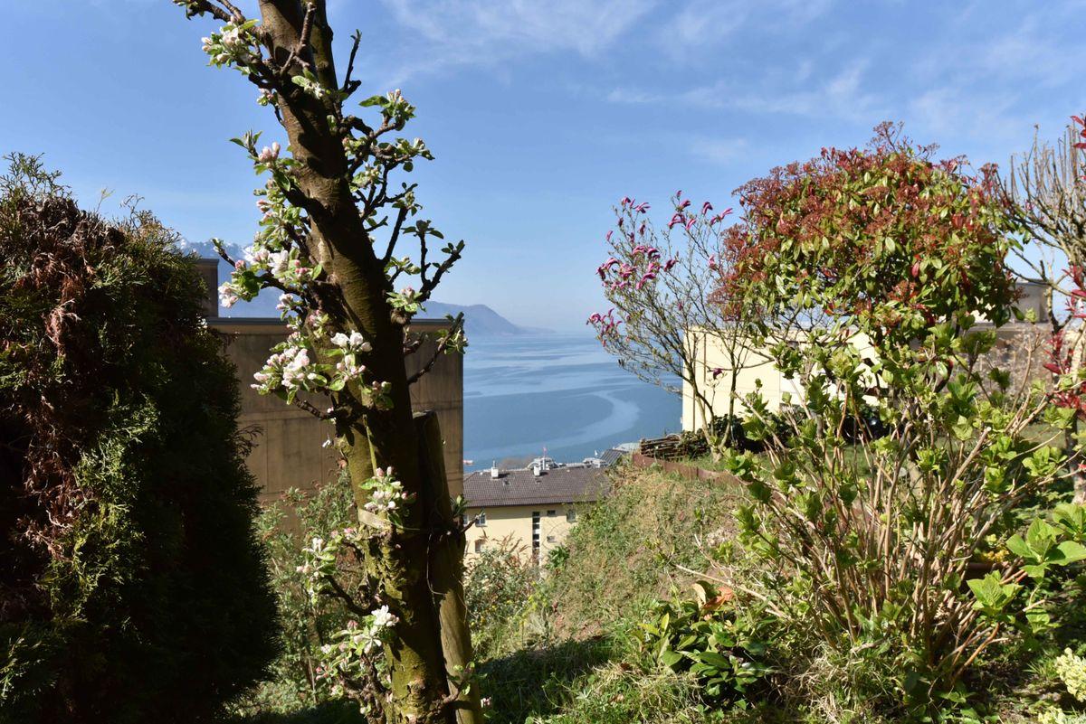 A vendre   Suisse - cChic-immoHub votre portail immobilier